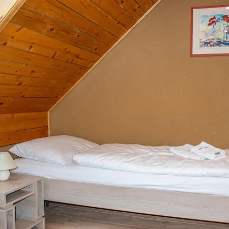 Youth Arsviva Hostel