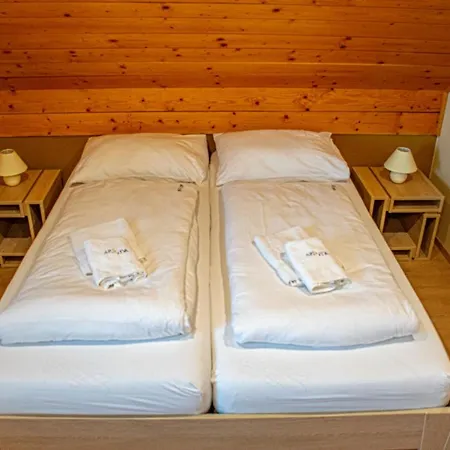 Youth Arsviva Stari Trg pri Ložu