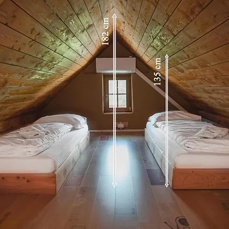 Youth Arsviva Hostel *