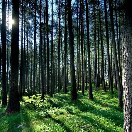 Youth Arsviva ホステル