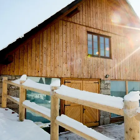 Youth Arsviva Hostel