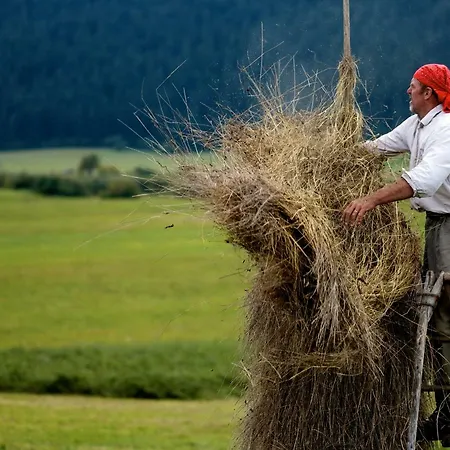 ホステル Youth Arsviva Stari Trg pri Ložu