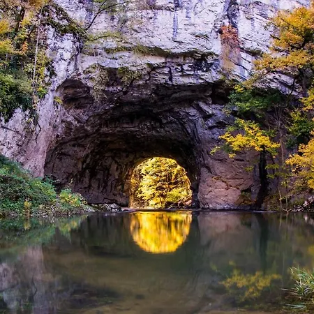 Youth Arsviva Hostel *