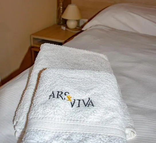 Youth Arsviva Hostel