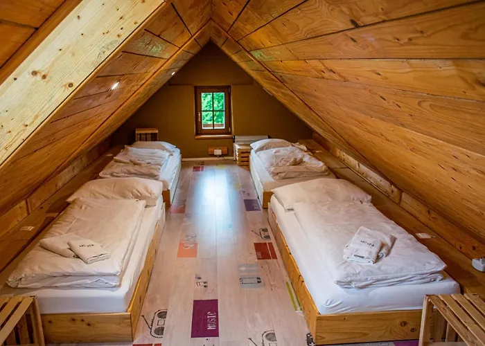 Youth Arsviva Stari Trg pri Lozu