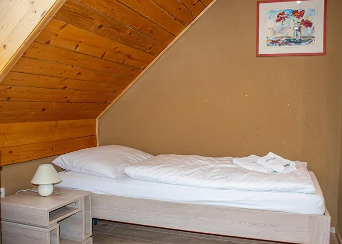 Youth Arsviva Hostel