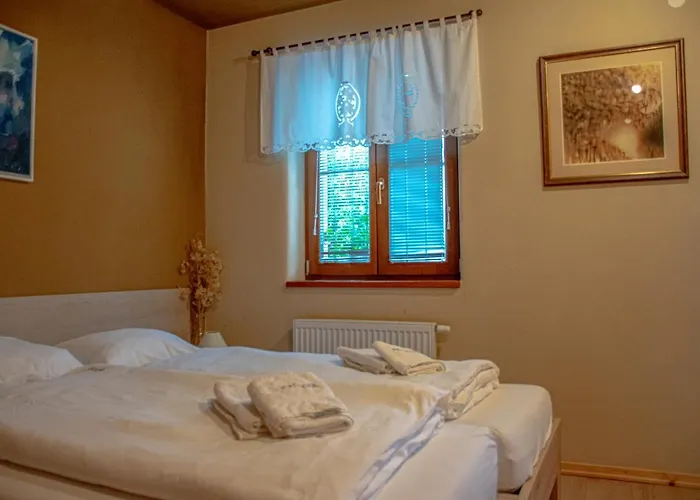 Youth Arsviva Hostel *