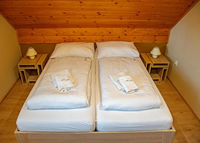 Youth Arsviva Stari Trg pri Lozu