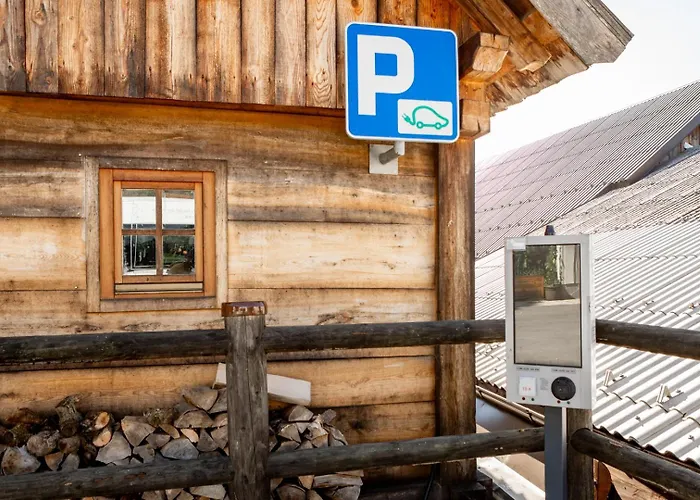 Youth Arsviva Hostel *