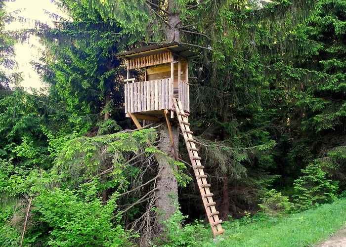 Hostel Youth Arsviva Stari Trg pri Lozu