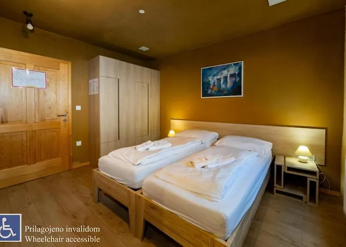 Youth Arsviva Hostel *