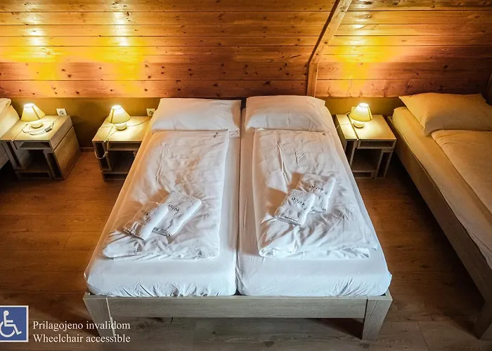 Youth Arsviva * Stari Trg pri Lozu