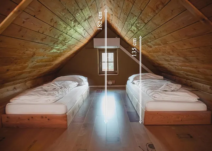 Youth Arsviva Hostel *