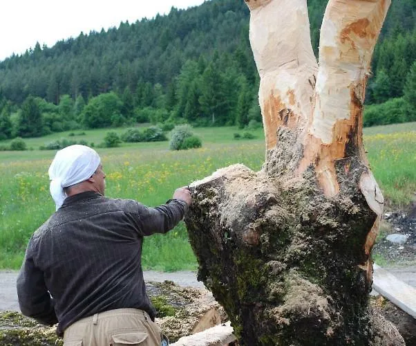 Youth Arsviva * Stari Trg pri Lozu