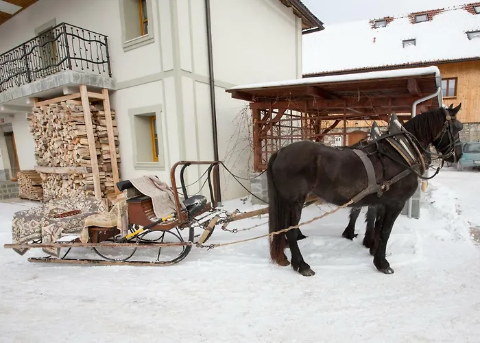 Youth Arsviva Hostel *