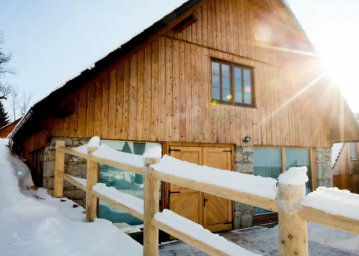 Youth Arsviva Hostel