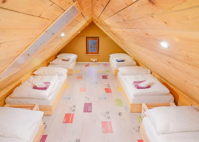 Youth Arsviva Stari Trg pri Lozu