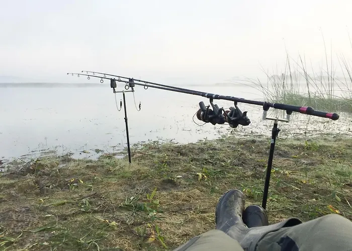 Youth Arsviva Hostel Stari Trg pri Lozu