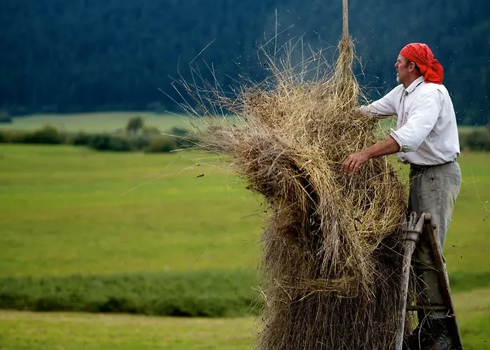Hostel Youth Arsviva Stari Trg pri Lozu