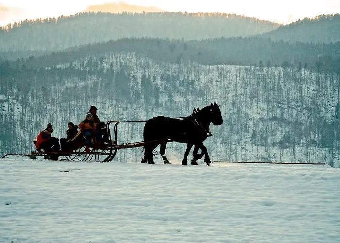 Youth Arsviva Hostel