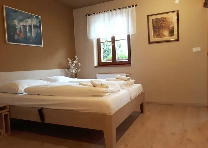 Youth Arsviva Hostel