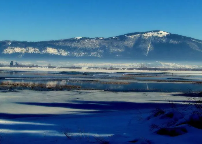 Youth Arsviva Hostel *