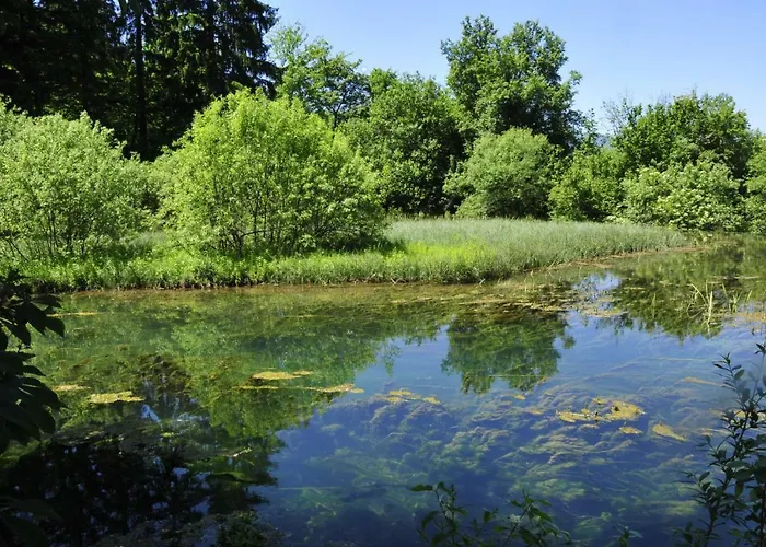 Hostel Youth Arsviva