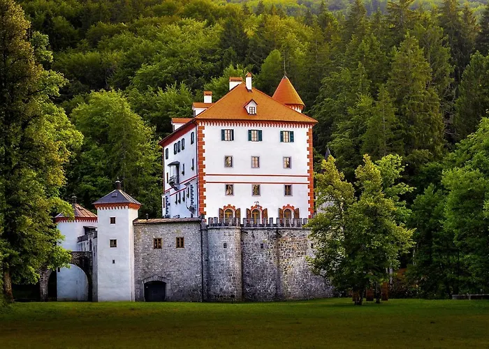 Youth Arsviva Hostel *