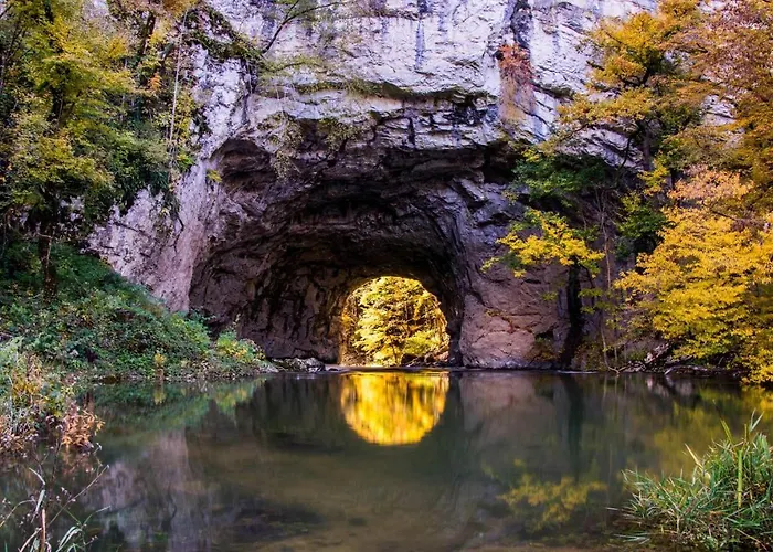 Youth Arsviva Hostel *